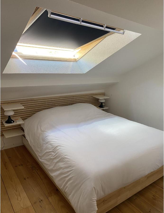 شقة T3 Duplex6 Hyper-Centre Climatise ألبي المظهر الخارجي الصورة